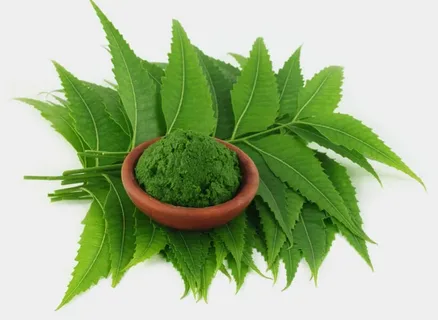 Neem Power